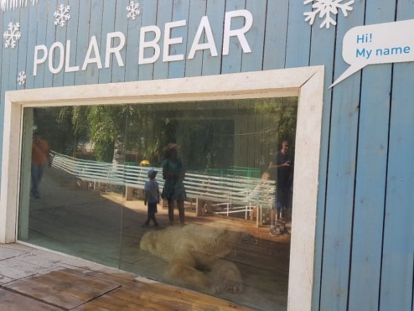 Гималайские медведи в зоопарке Алматы обрели новый дом!
