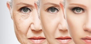 Продукты, замедляющие процесс старения